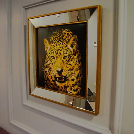 Star Of Apart Otel İstanbul